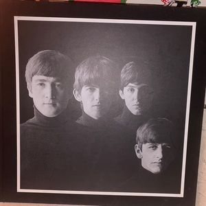 The Beatles Box Set, (Every Album with Art Work)